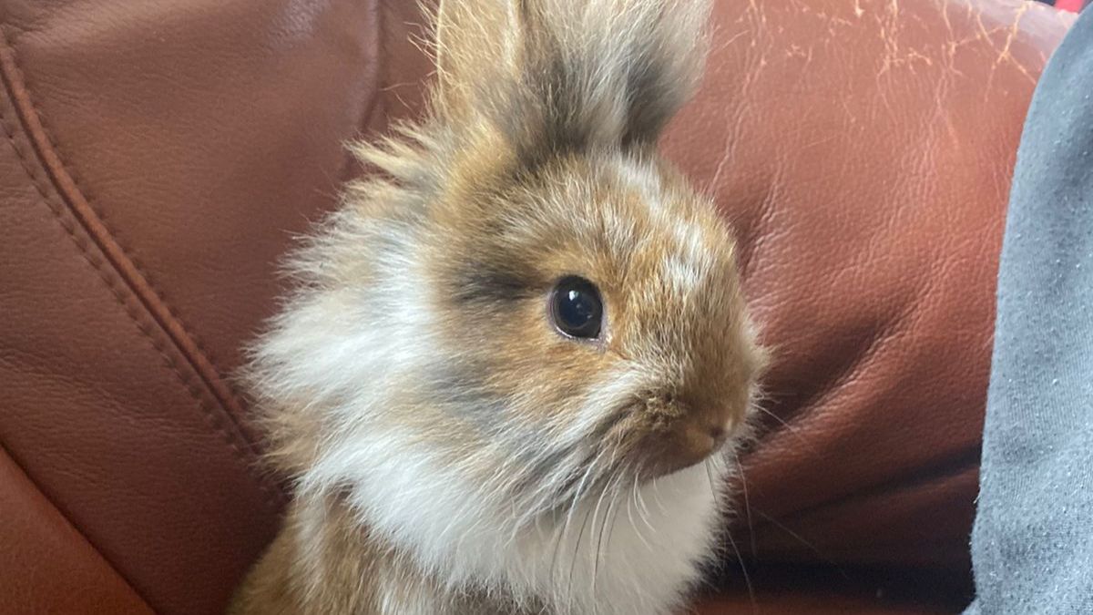 РАЗГОВАРИВАЕМ О СЕБЕ смотреть онлайн