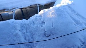 23.02.2026 Обзор заснеженного двора и улицы.