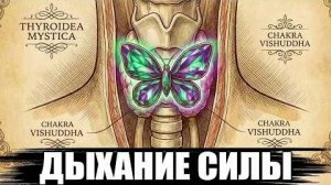 Дыхание Дракона_ Древняя даосская техника, которая пробуждает твою внутреннюю силу