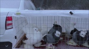 Зеленокумск 28-02-26 года.Часть первая.