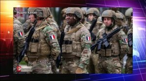 Приговор боевикам Макрона. Эксперты предрекли разгром войск НАТО на Украине