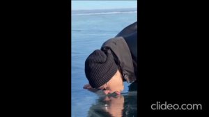 Лизать лед запрещено!