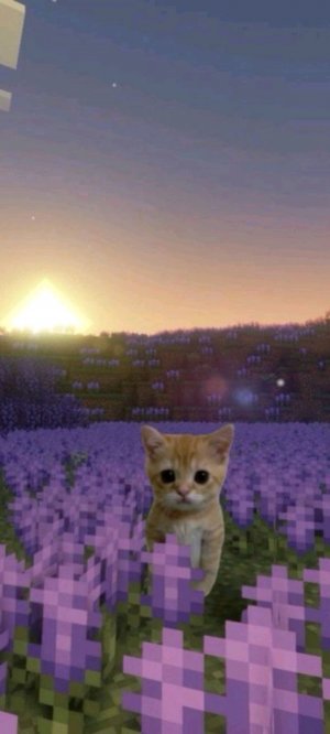 прохождение  игры