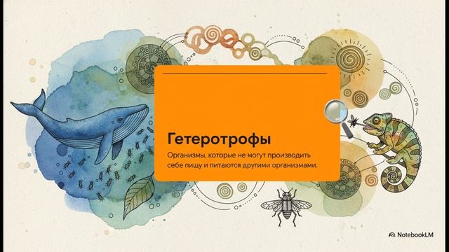 Биология 5 класс параграф 13 МНОГООБРАЗИЕ И ЗНАЧЕНИЕ РАСТЕНИЙ, ЖИВОТНЫХ И ГРИБОВ краткий пересказ