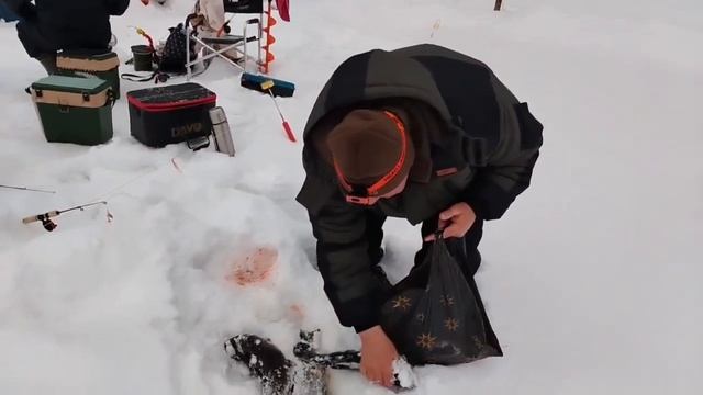 28.02.26 г. РК Волна. смотреть онлайн