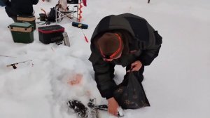 28.02.26 г. РК Волна.