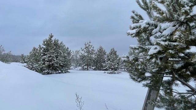 video-output-92B88472-3C93-49B3-A669-E3111CB842FE-1