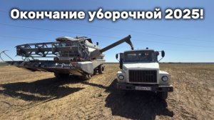 Окончание уборочной 2025! Вожу зерно в склад!