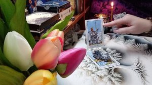 4 КОРОЛЕВЫ,в чем ваш ресурс весной