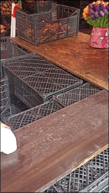 28.02.2026 в Рустави (Грузия) снова снег