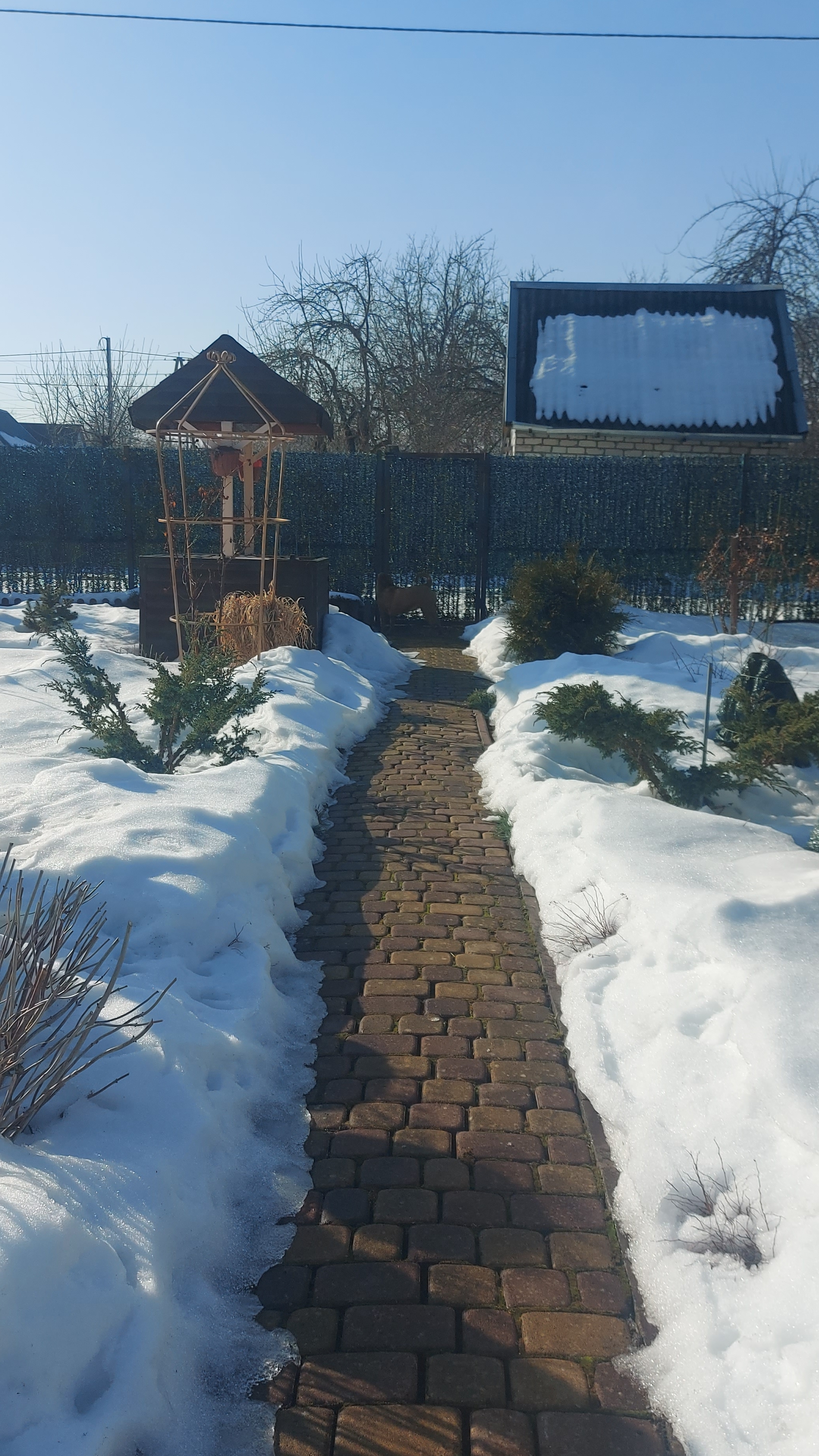 Весенняя капель💦🌤#shorts