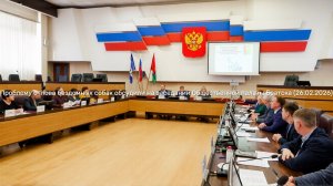 Проблему отлова бездомных собак обсудили на заседании Общественной палаты Братска (26.02.2026)