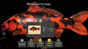 НОВЫЕ ФАРМЫ НА МЕДНОМ ТРОФЫ КОИ, РАЗДАЧИ НА АРХИПЕЛАГЕ И СУРЕ В РУССКОЙ РЫБАЛКЕ 4 РР4