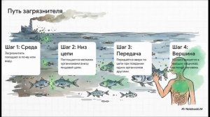 Биология 5 класс параграф 26 ИЗМЕНЕНИЯ В ПРИРОДЕ В СВЯЗИ С ДЕЯТЕЛЬНОСТЬЮ ЧЕЛОВЕКА краткий пересказ