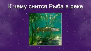 К чему снится Рыба в реке - толкование сна