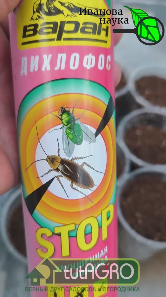 💀Я не верил, пока не попробовал! Шок-метод: ВРЕДИТЕЛИ ПОГИБНУТ за 60 секунд! Трюк, который РАБОТАЕТ