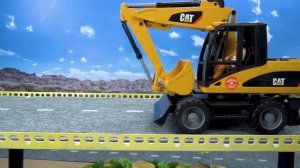 Bibo перевозящих древесины в лесу и встретиться с тигр