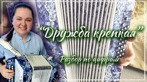 ДРУЖБА КРЕПКАЯ (Детская песня) ► Разбор на гармони по цифрам