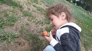 Муравьишки ANTs