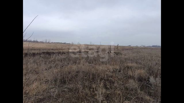 11688035 смотреть онлайн