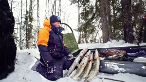 Мешок щуки на Острове. Солим икру. Прячемся от пурги 3 дня. Рыбалка на жерлицы. Ч.1