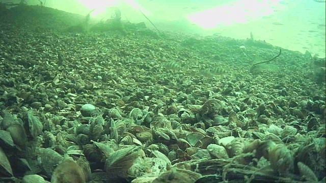 1000010752.mp4Волга гл.2м.28.02.2026г. 1000010752.mp4Волга гл.2м.28.02.2026г.