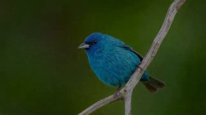 Обсуждение_темы_№_3__Вечный,_Самосущий_Святой_Дух_