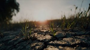 Дыхание Рассвета 🌄