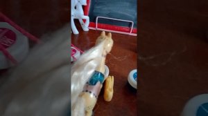 Время каникул закончилось