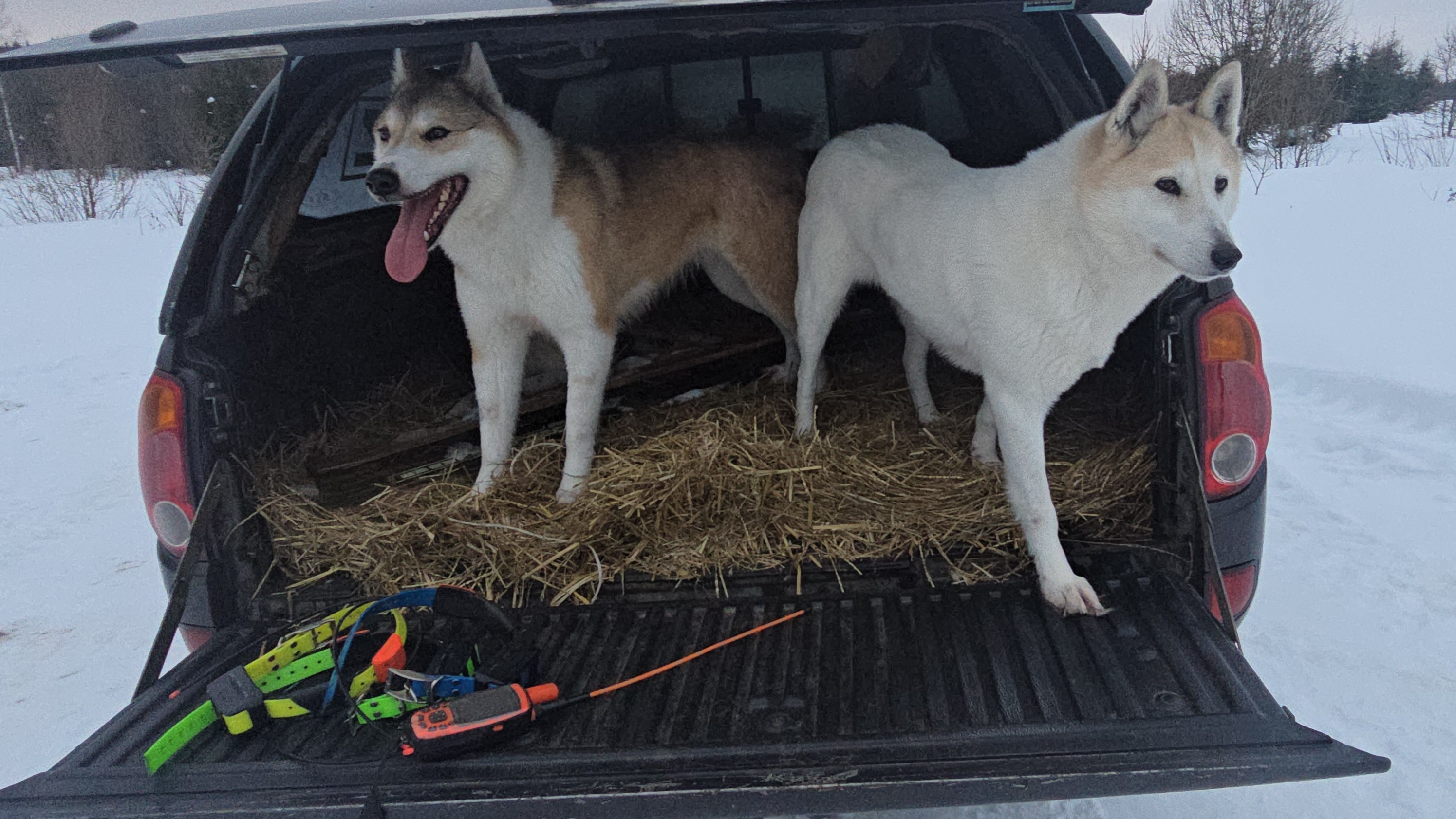 Крайний день сезона охоты