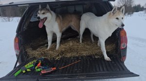 Крайний день сезона охоты