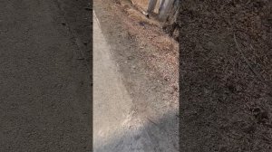 меня затролил автобусник