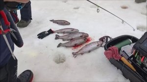 Продолжение рыбалки на Спорт-зоне. Клёвое место Лосиный остров.