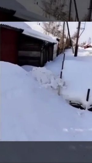 Норка