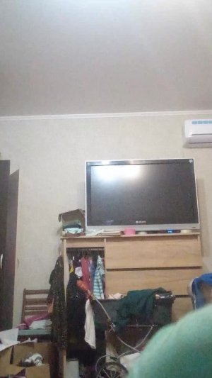 Песни хаски бублика 2. Март ура 🥳