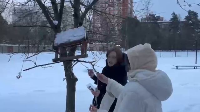 9-3 класс Акция Покорми зимующих птиц 2025