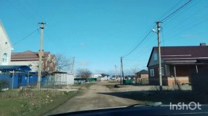 Первые пробные цыплята в этом году. Что купила для их обогрева.