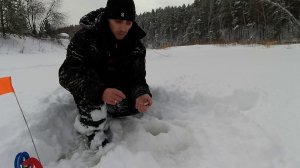 ЭХ, на ЖЕРЛИЦЫ ТИШИНА!!! Но на удочку МАЛЕНЬКО ПОЛОВИЛ... Рыбалка на реке Багаряк.