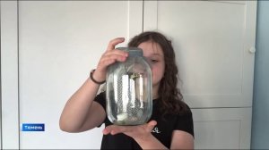 Тюменская школьница в домашних условиях вывела в феврале махаона