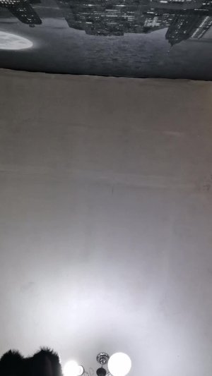 Уголёк примеряет костьмы