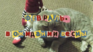 Февраль. В ожидании весны.