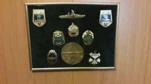 Мой способ оформления коллекции настольных медалей и значков