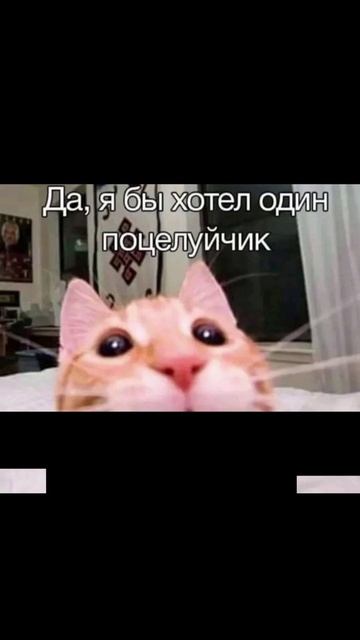 VID_20260228_150304_824