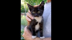 Рассказ - "На пороге радуги"