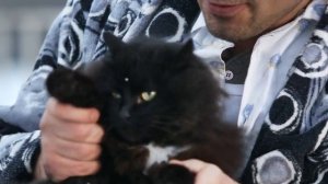 КЛЮЧИ. ЗАПИШУ ТИШИНУ.