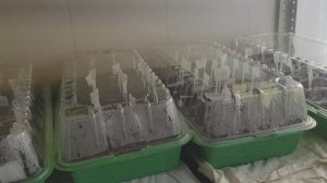 Рутуб и я. Туда-сюда. Ой! Ну и дела 28,02,26