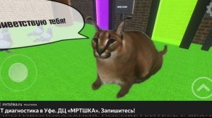 ОБЗОР ИГРЫ Tim gun (можно выходить за забор)