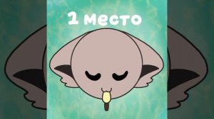 Приз Хвое на конкурс