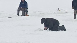 VID_20260228_211226_984