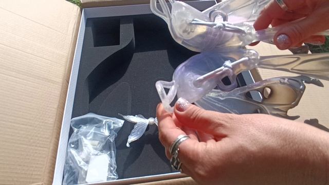 Распаковка крыльев Dollzone